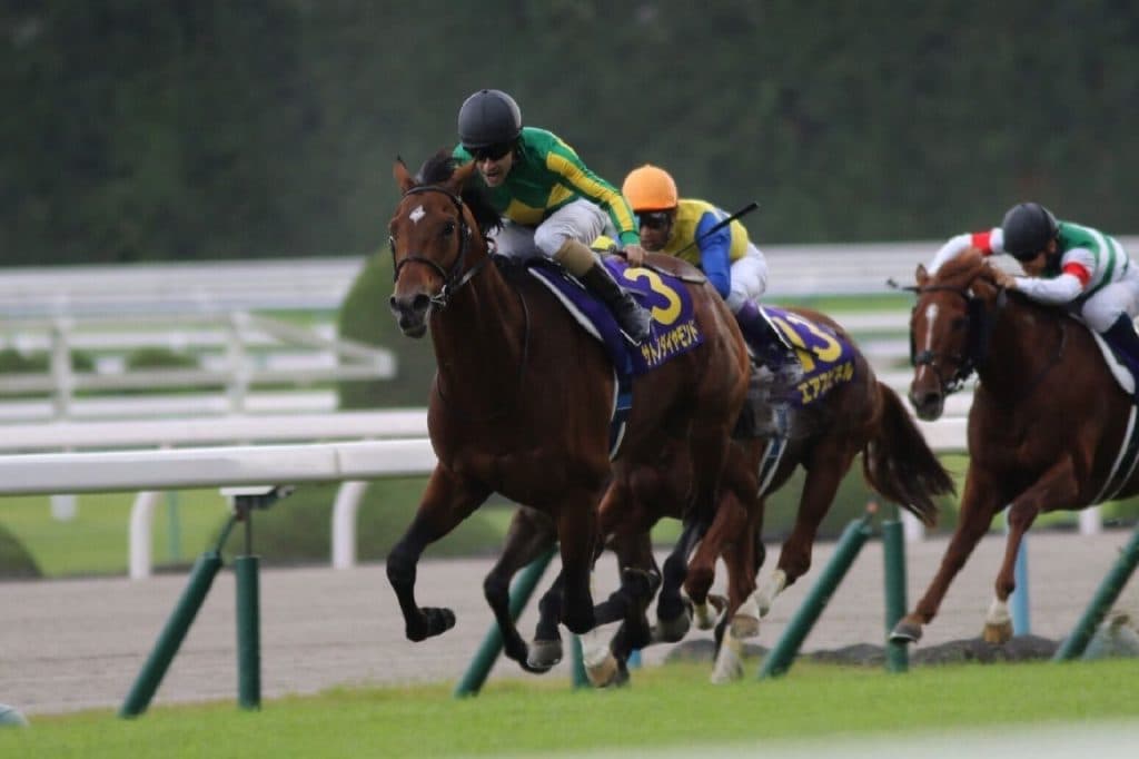 【アルテミスS予想2016】今週もサトノ！サトノアリシア