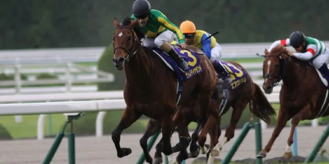 【アルテミスS予想2016】今週もサトノ！サトノアリシア