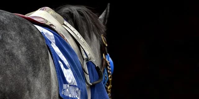 【フローラS予想2019】遅れてきた大物セラピア、上積み期待