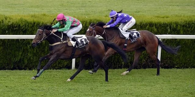 【アルテミスS予想2016】リスグラシューvsフローレスマジック、新馬戦を落とすも2戦目が圧巻の内容だった2頭の初対戦！