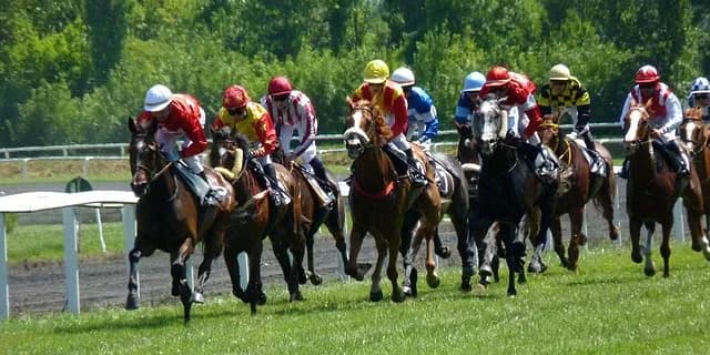 【スワンS予想2016】メイショウナルトまさかの路線変更！1400mなら残れるか？！