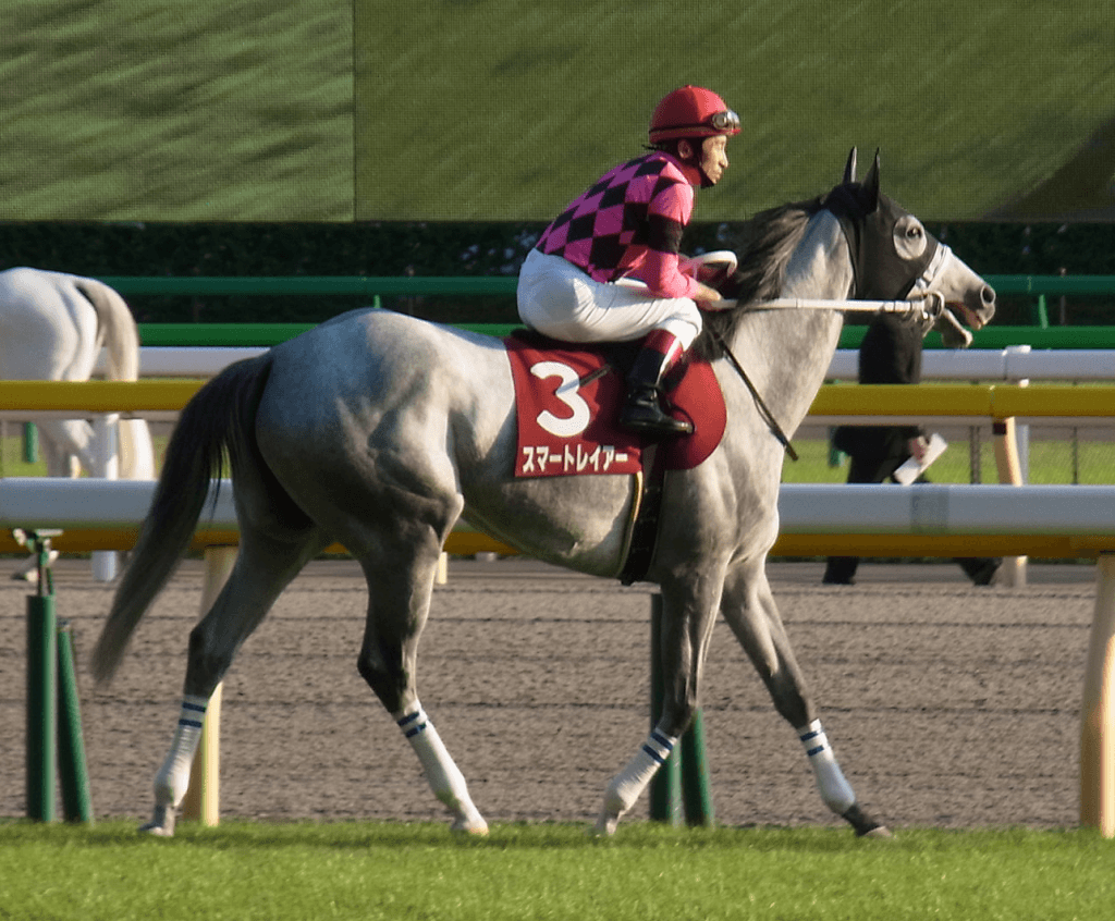 【府中牝馬S予想2016】スマートレイアー「3度目の正直」V.S.「2度あることは3度ある」