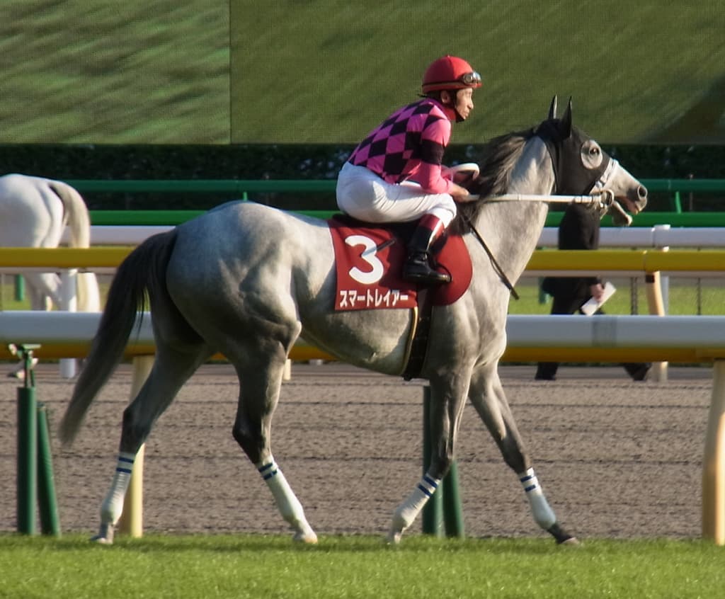 【府中牝馬S予想2016】スマートレイアー「3度目の正直」V.S.「2度あることは3度ある」