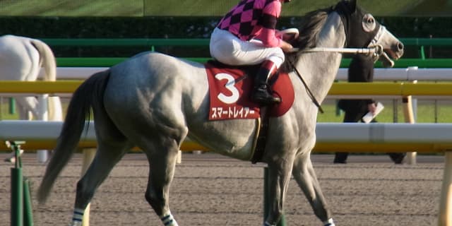 【府中牝馬S予想2016】スマートレイアー「3度目の正直」V.S.「2度あることは3度ある」