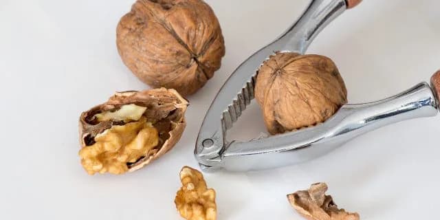 低調なメンバーが目立つ、くるみ賞登録馬