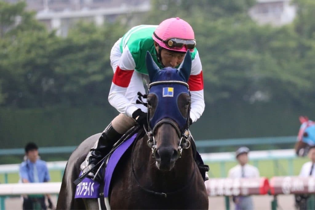 【有馬記念2016予想】蛯名、X'masはマリアにG1プレゼント