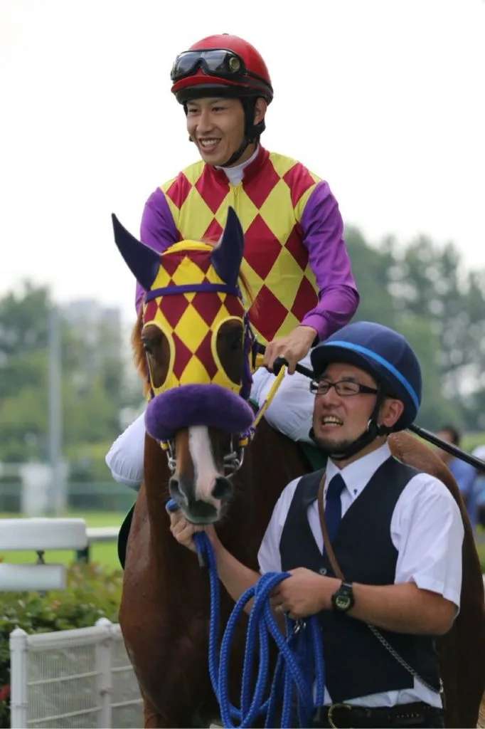 【阪神カップ2016予想】1400m専用マシーン・トウショウドラフタ