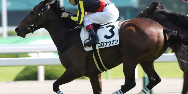 【黄菊賞2016予想】コロナシオン、強力な包囲網突破なるか？
