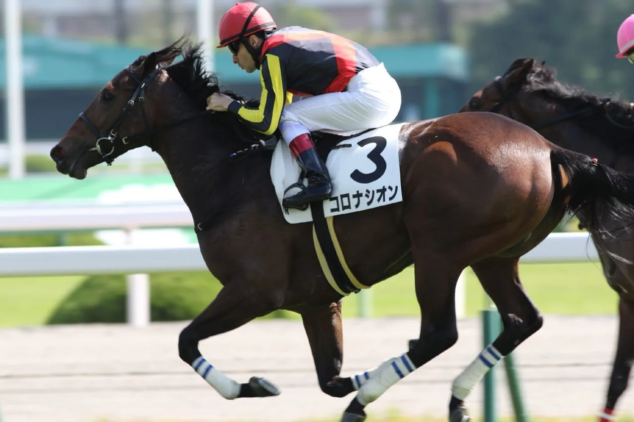 【黄菊賞2016予想】コロナシオン、強力な包囲網突破なるか?