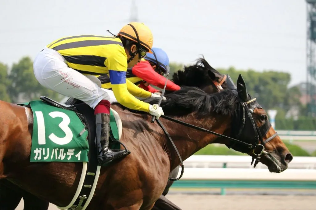 【マイルCS予想2016】前走敗戦、凡走からの逆襲をするのは誰だ？