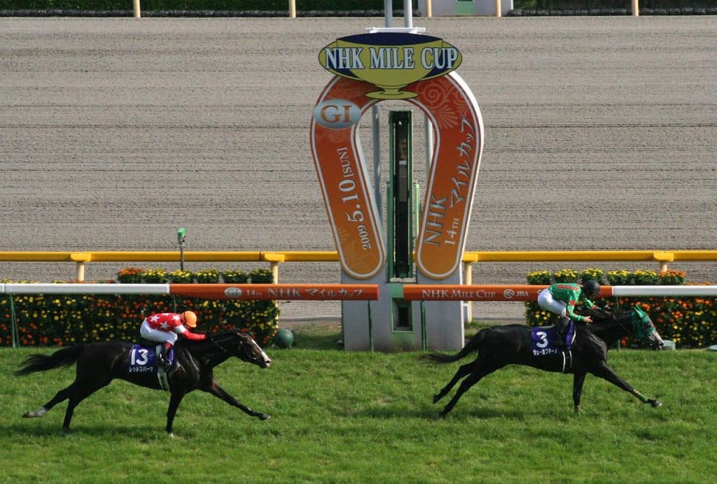 【京王杯2歳S予想2016】唯一の1戦1勝馬ジョーストリクトリが父ジョーカプチーノばりの強さを