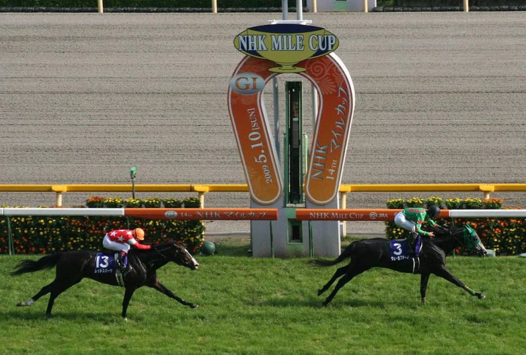 【アーリントンC予想2017】ここを勝って父の名を高めたいジョーストリクトリ