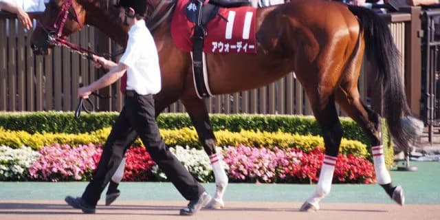 【JBCクラシック予想2016】コパノの弱点を熟知したアウォーディー武豊が一枚上手か