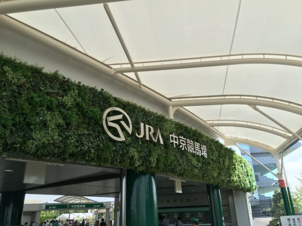 【CBC賞2018予想】生え抜きよりも短縮組がトレンドか？