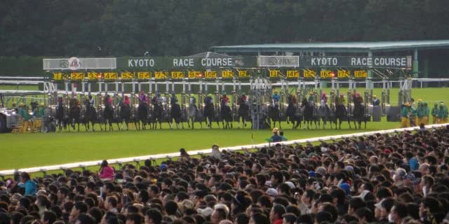 【エリザベス女王杯2016予想】寂しい3歳勢、今年は古馬中心か？