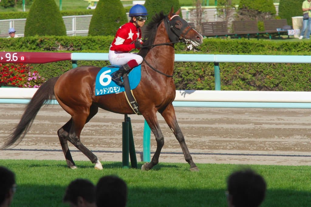 【鳴尾記念2017予想】レッドソロモンこの舞台なら穴でなく軸になりうる