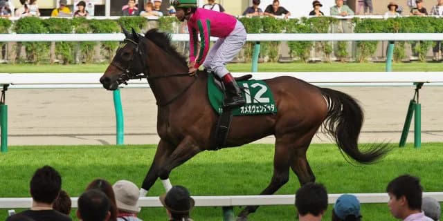 【デイリー杯2歳2016予想】サンライズソアがお祖母さん譲りの末脚で有力馬を差し切る！
