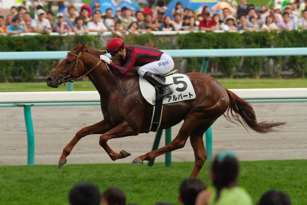 【オールカマー2017】レース展望、有力馬「5頭」の見解