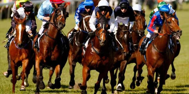 バカづきもいいが、最後は競馬で勝負。