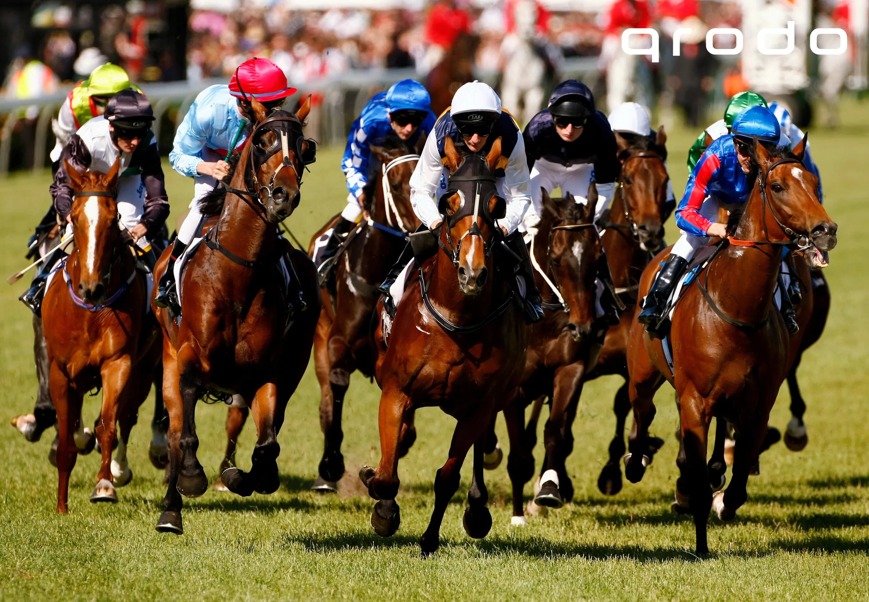 バカづきもいいが、最後は競馬で勝負。