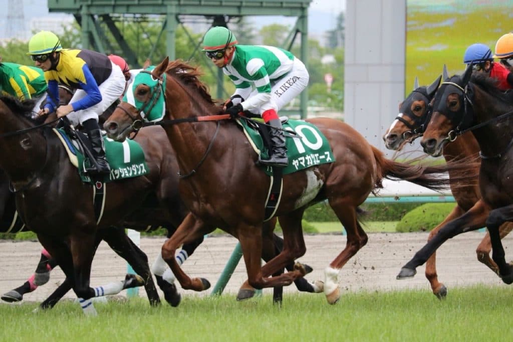 【金鯱賞】GⅡなら好勝負ヤマカツエース