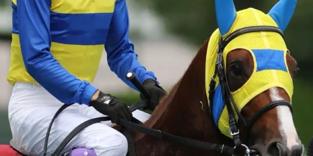 【共同通信杯2017予想】出走馬全馬が本気モード？賞金不足の有力馬揃い踏み！