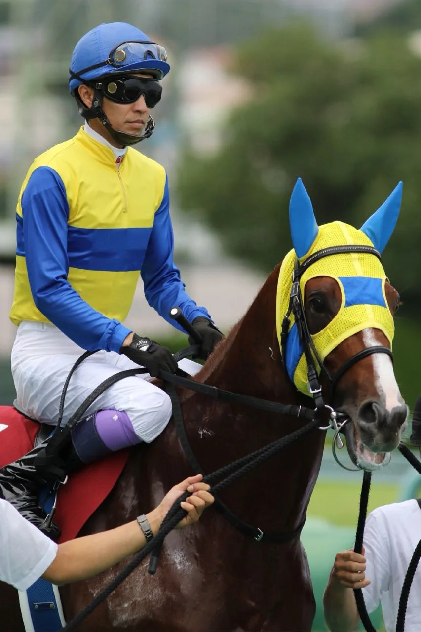 【共同通信杯2017予想】出走馬全馬が本気モード？賞金不足の有力馬揃い踏み！
