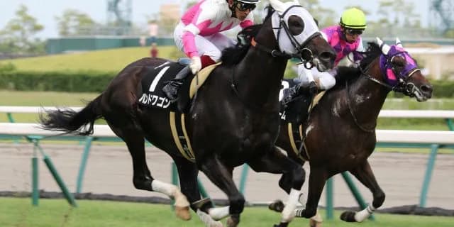 バンドワゴン種牡馬入り、未完の大器の夢は次世代へ