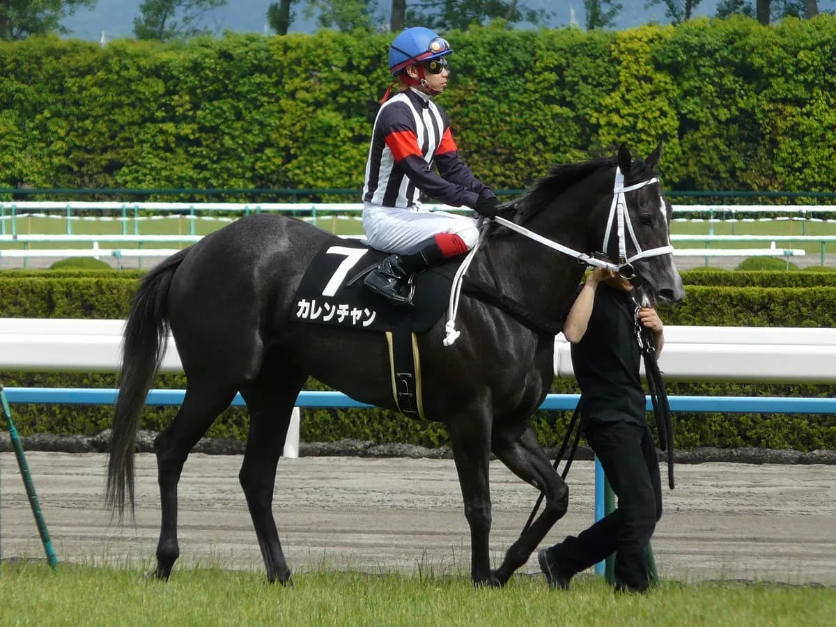 G1馬同士、夢の配合“カレン×カレン”