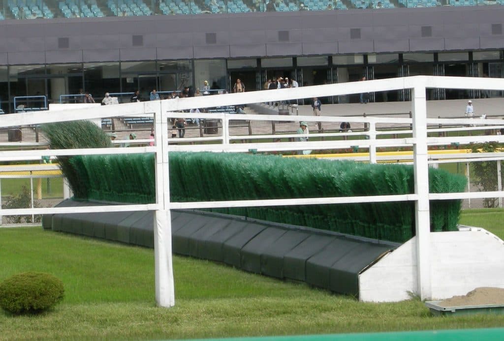 【京都ハイジャンプ2020予想】オジュウチョウサンの対抗馬として名乗りを上げるのはどの馬だ？