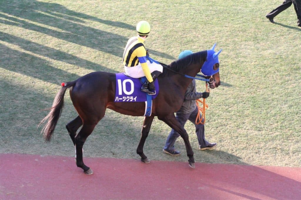 【共同通信杯2018】今年も“当たり年”か？ハーツクライ産駒、2週連続Vなるか？