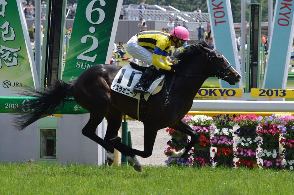 【マイルCS予想2016】復権をかけるイスラボニータ、ミッキーアイル