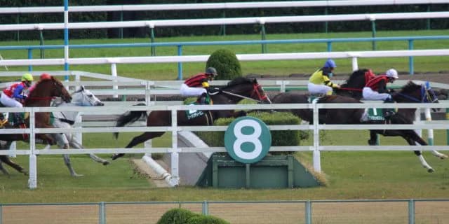 勝てないケンカはやらない？6頭立てのGⅢ・京都ジャンプS