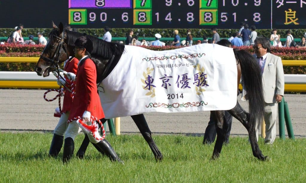【阪神大賞典2017予想】ワンアンドオンリーここなら
