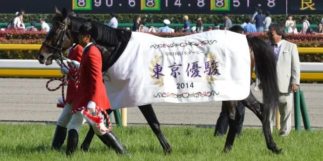 【アルゼンチン共和国杯2016予想】ワンアンドオンリーが復活Vでジャパンカップに！