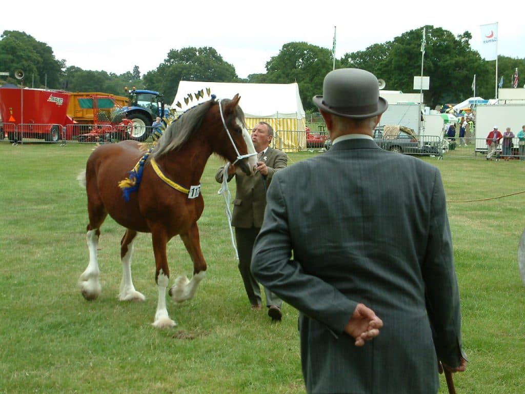 注文のすくない馬主。