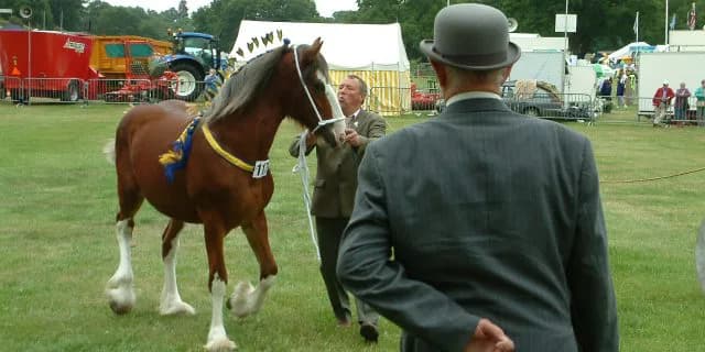 注文のすくない馬主。