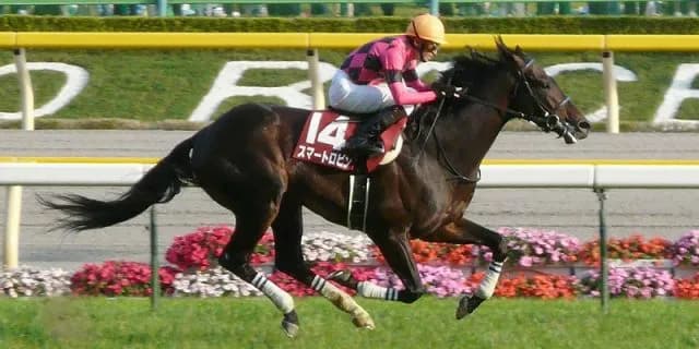 3歳馬が勝利すると出世が約束される？比叡ステークス