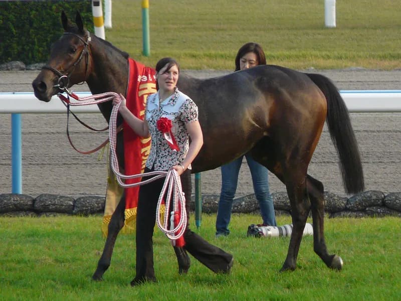 【栄光の瞬間】2010年第35回エリザベス女王杯・イギリスからやって来た少女