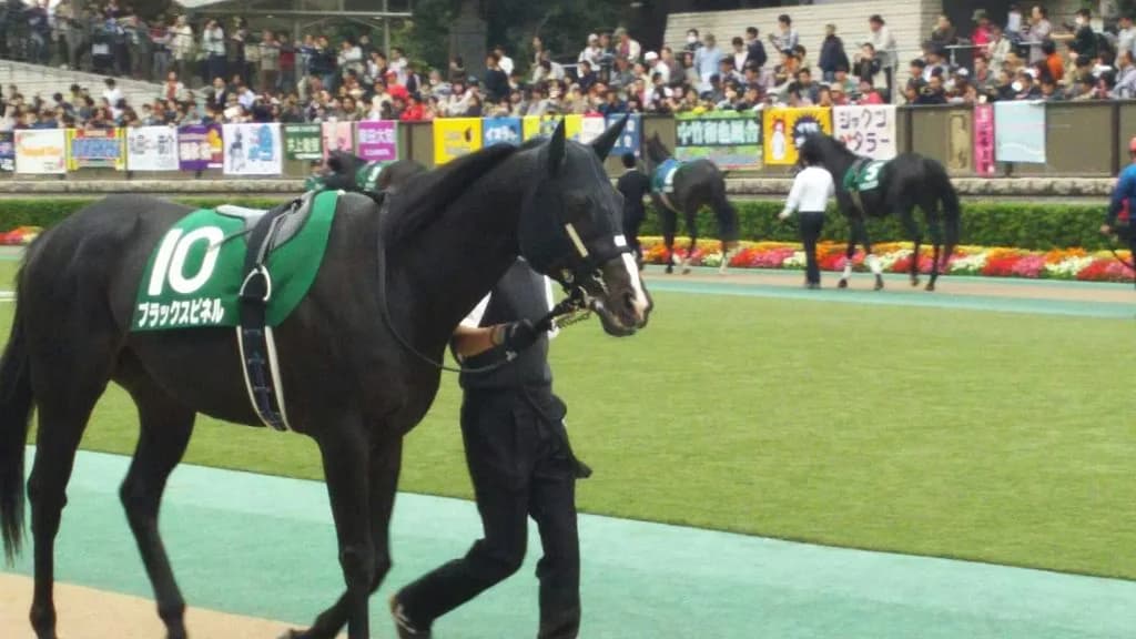 【マイラーズC予想2017】ほぼマイル路線の最高メンバー！急成長中のブラックスピネルに期待！