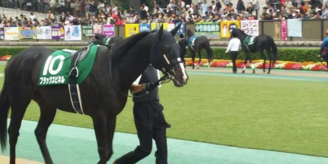 【マイラーズC予想2017】ほぼマイル路線の最高メンバー！急成長中のブラックスピネルに期待！