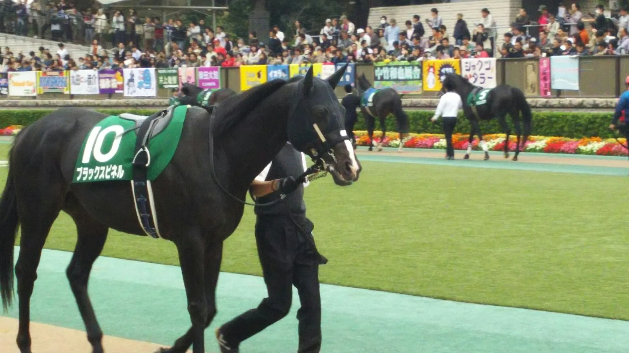 【マイラーズC予想2017】ほぼマイル路線の最高メンバー！急成長中のブラックスピネルに期待！