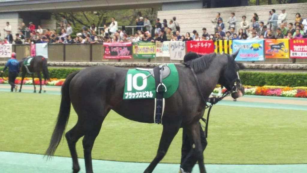 【東京新聞杯2017予想】エアスピネルはただの音頭取り？主役はもう1頭の”スピネル”だ！