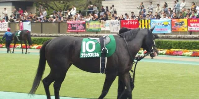 【東京新聞杯2017予想】エアスピネルはただの音頭取り？主役はもう1頭の”スピネル”だ！