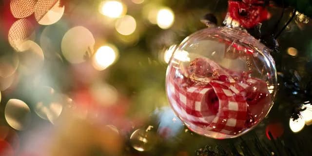 今週からは師走競馬！！