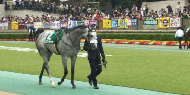 ダノンプラチナ、引退。今後は南アフリカ共和国で種牡馬に