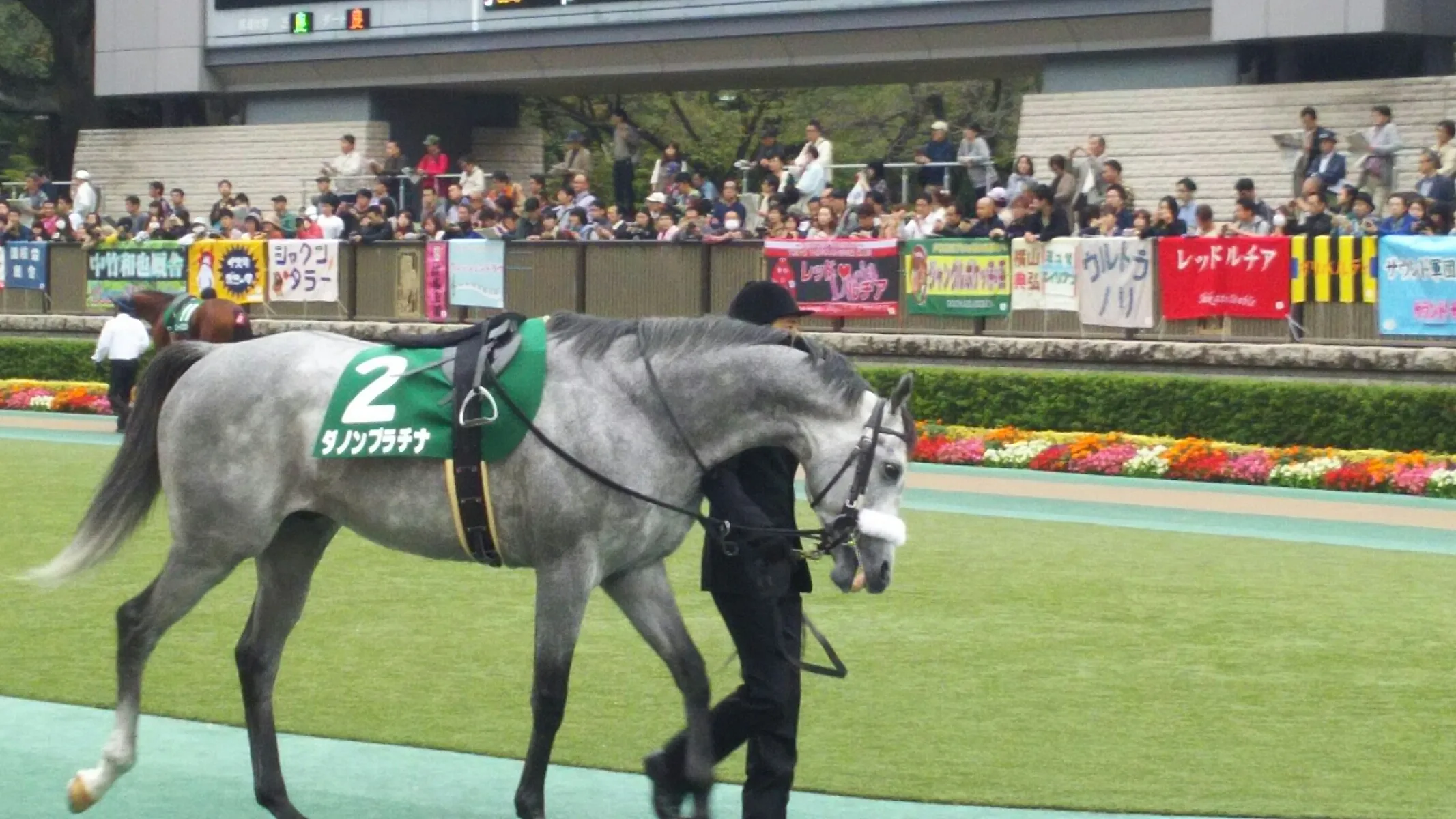 【ニューイヤーS予想2018】ダノンの勢い後押しとなるか？ダノンプラチナ久々の勝利へ