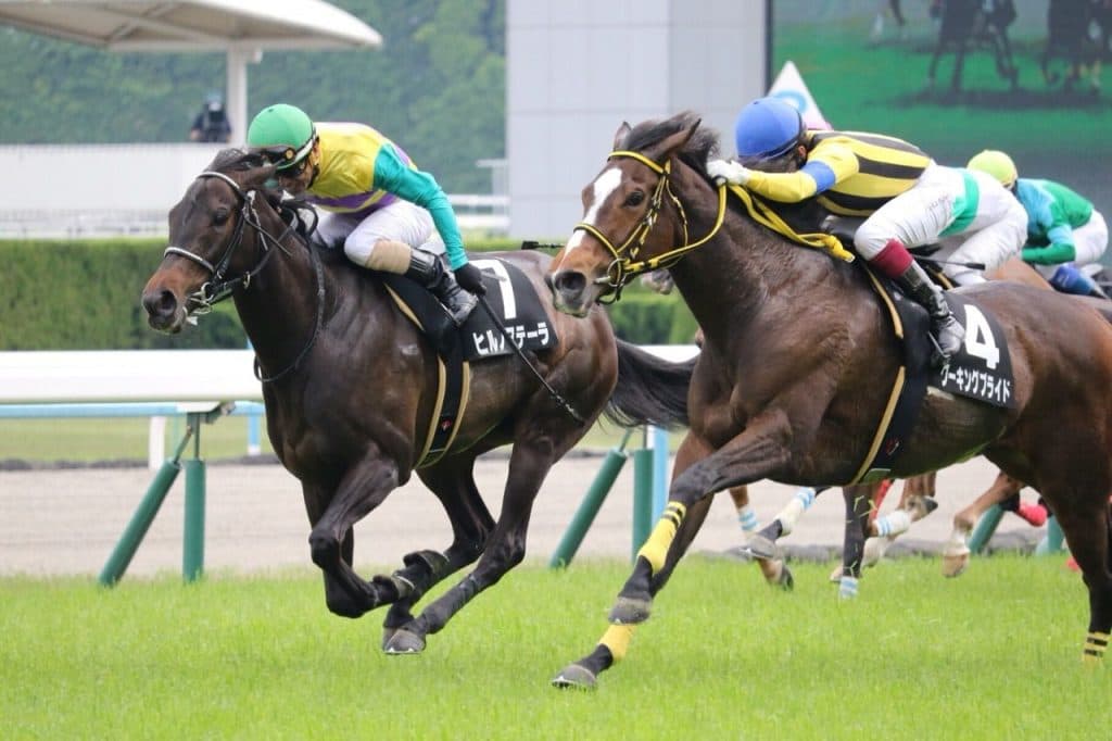 【エリザベス女王杯2016予想】強豪牝馬を打ち破れるか厳選穴馬3頭