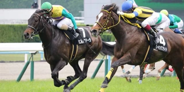 【エリザベス女王杯2016予想】強豪牝馬を打ち破れるか厳選穴馬3頭