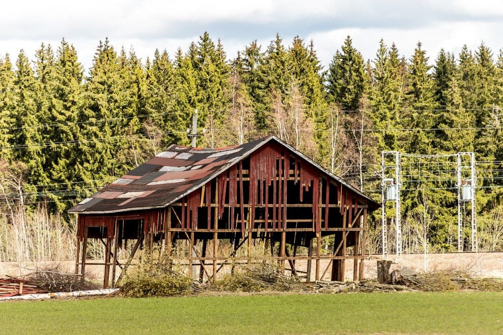 ジャパンカップの空洞化
